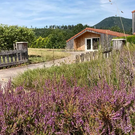 Le Chalet Dans La Nature Saulcy-sur-Meurthe Exterior foto